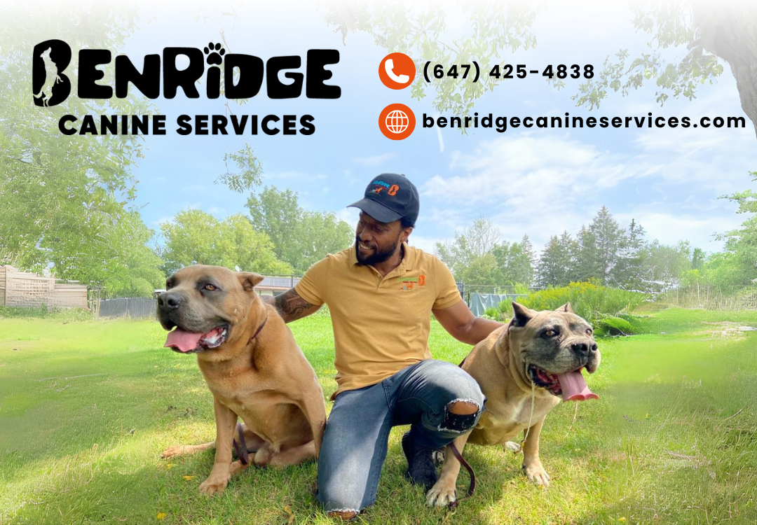 Benridge Canine Services