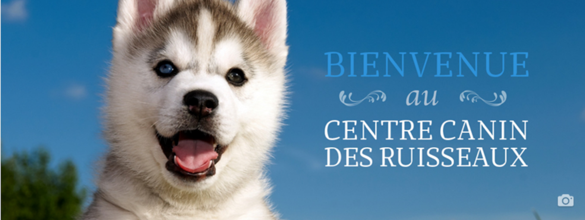 Canine Center Des Ruisseaux