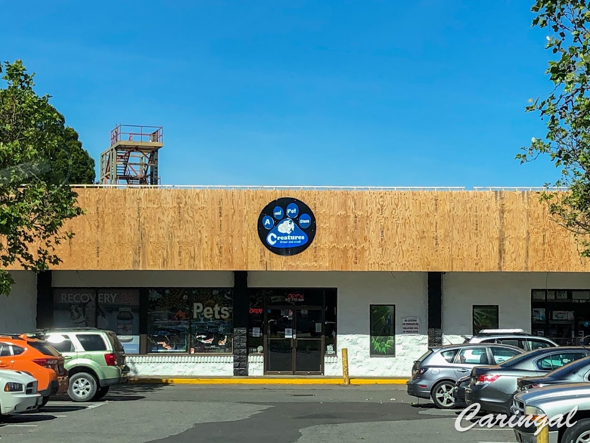 Creatures Pet Store