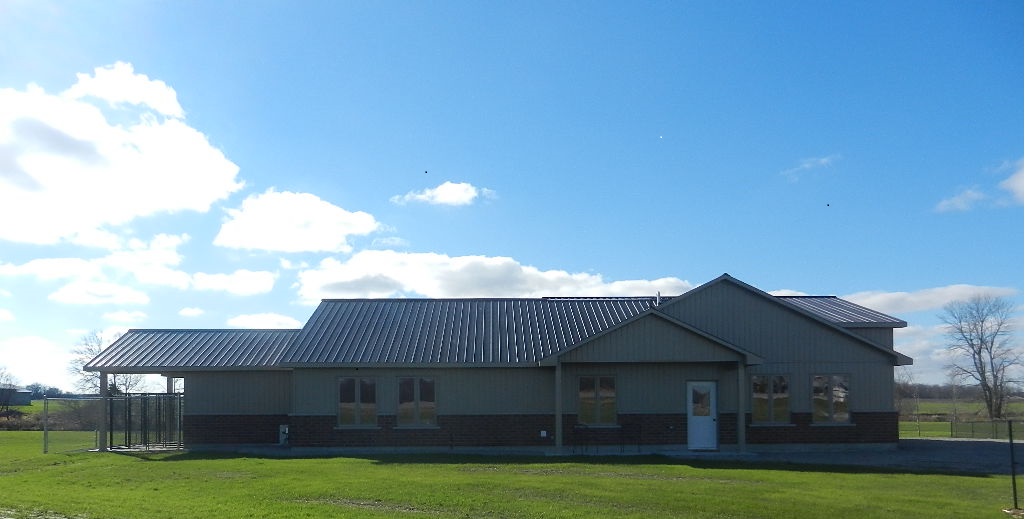 Play 'N Stay K-9 Daycare and Boarding
