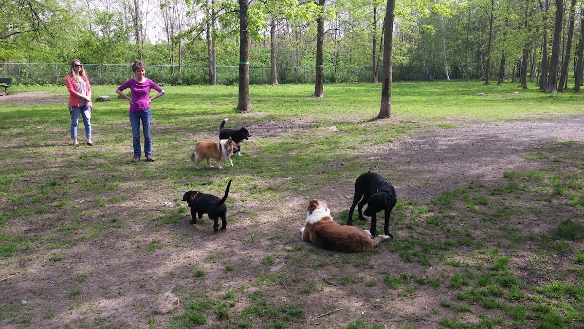 Parc canin chemin du Tremblay