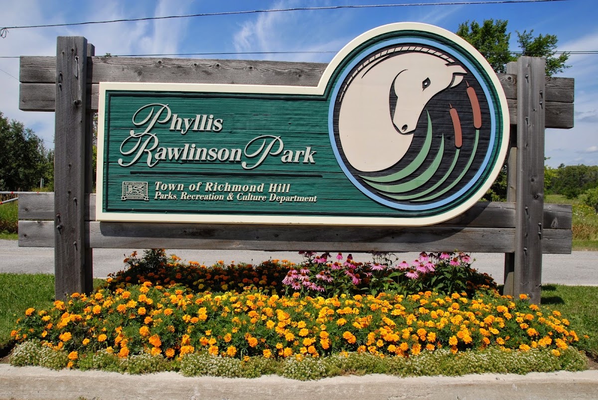 Phyllis Rawlinson Park
