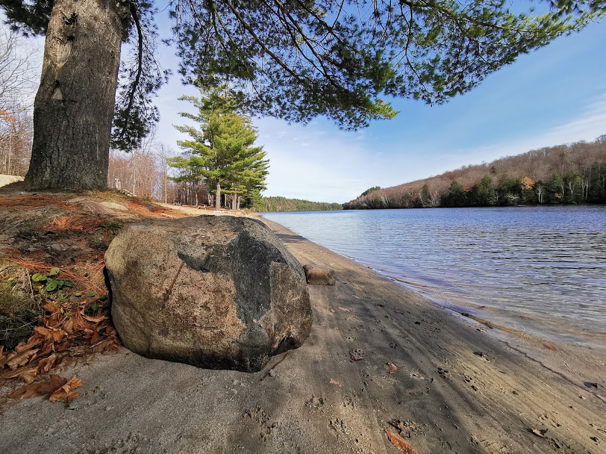 Burnstown Beach