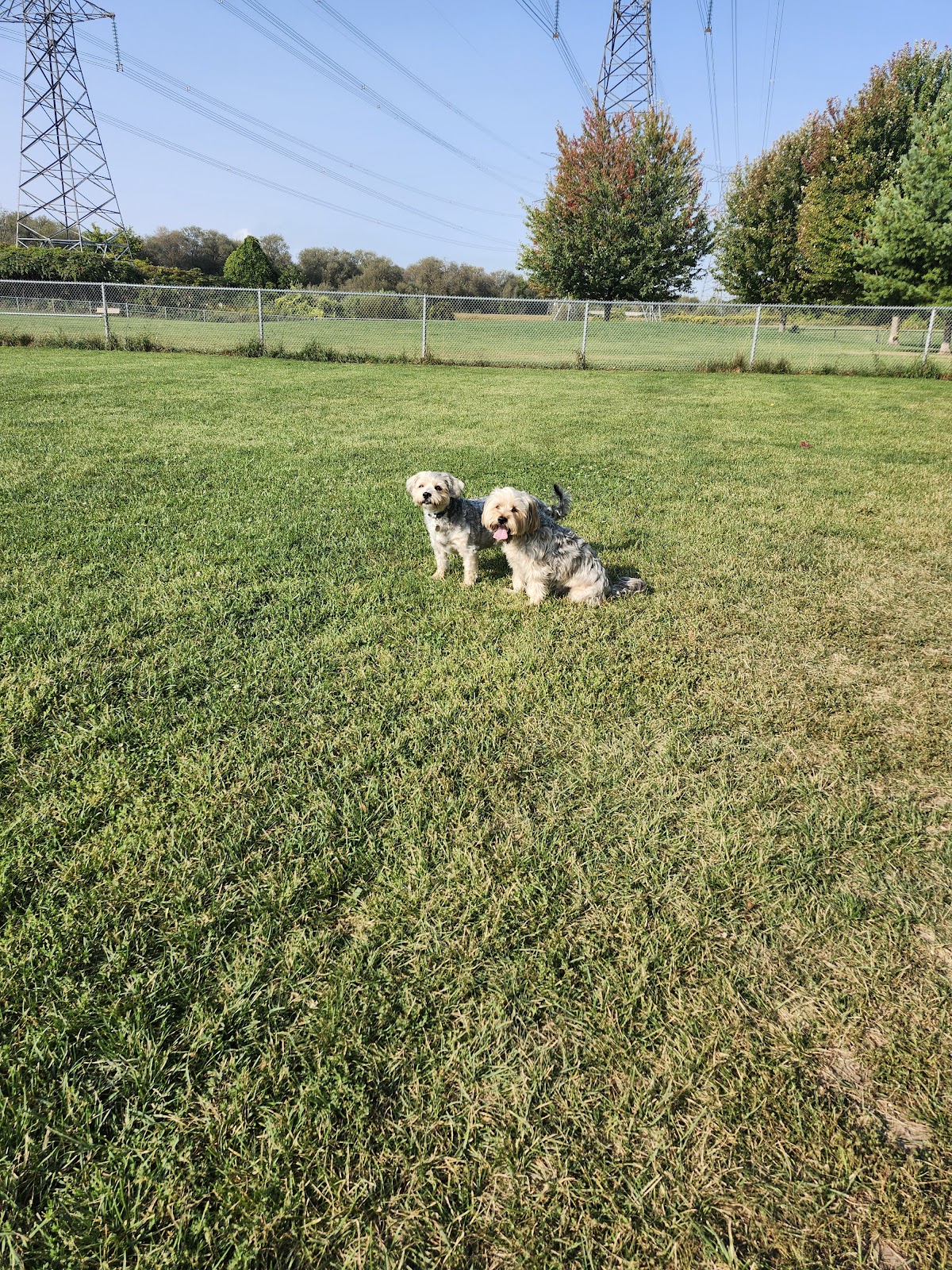 Bowmanville Off Leash Dog Park