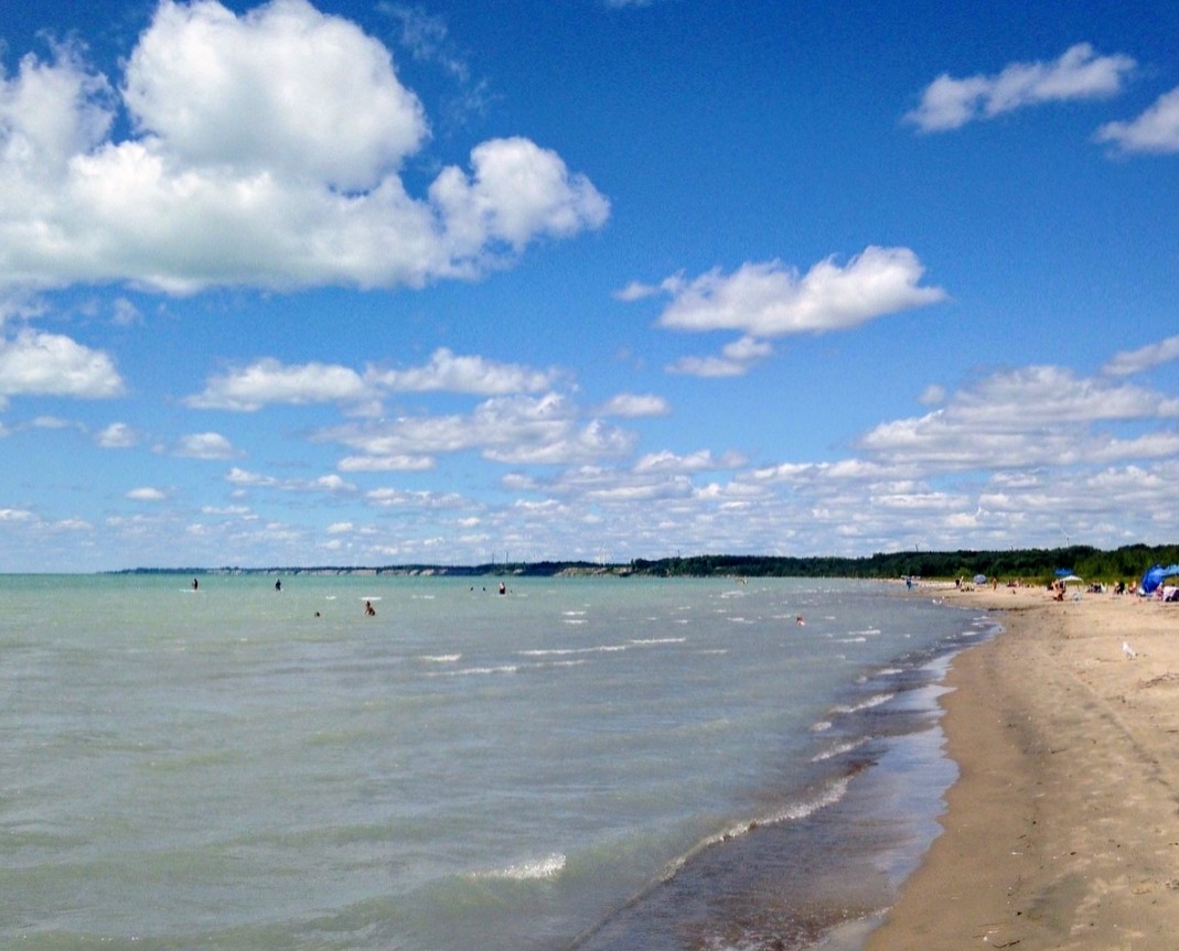 Dog Beach