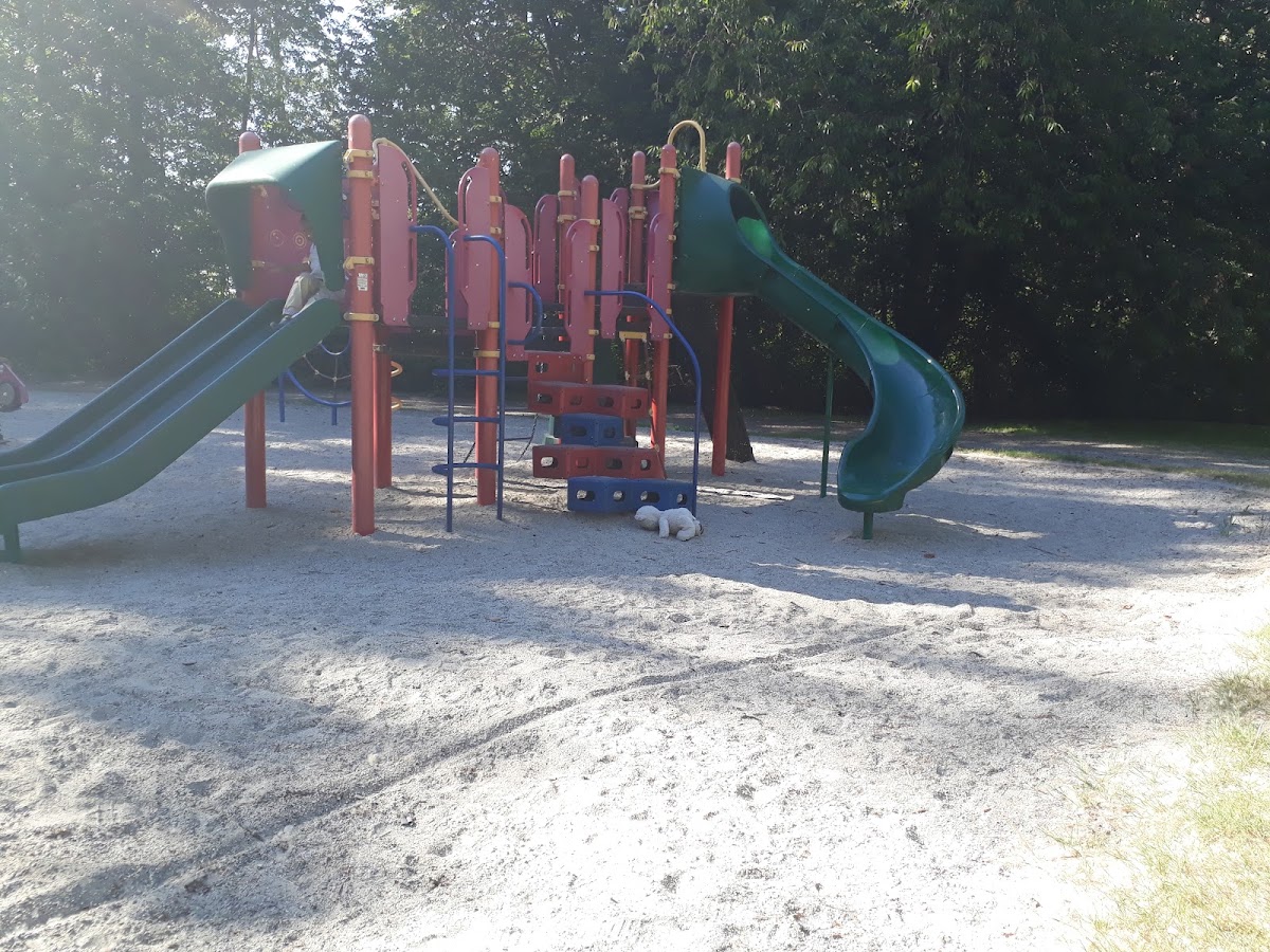 Ladner Harbour Park