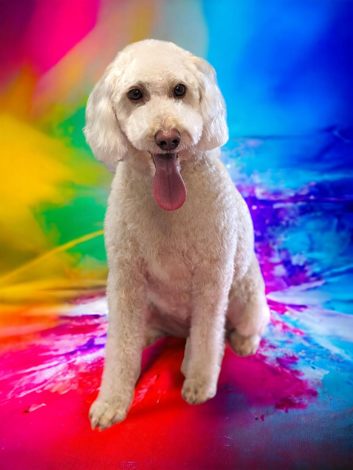 Doggieland