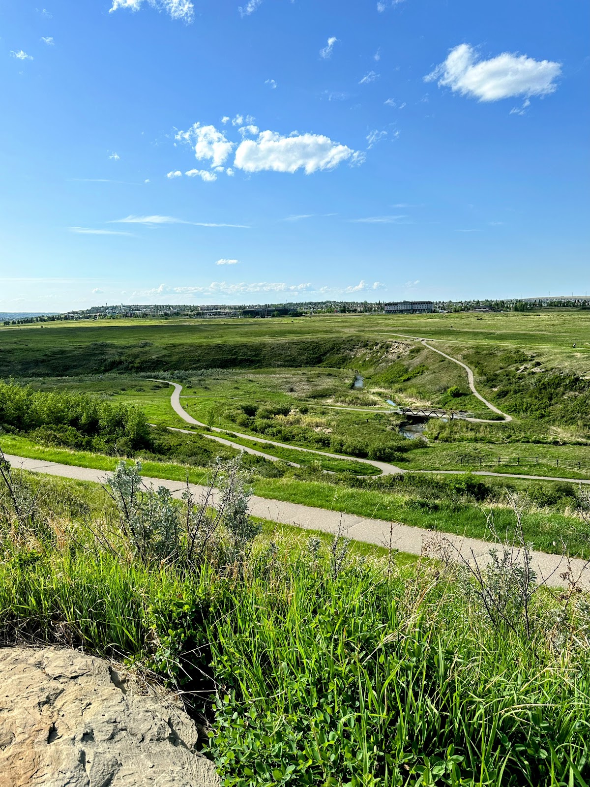 West Nose Creek Park (Confluence Park)