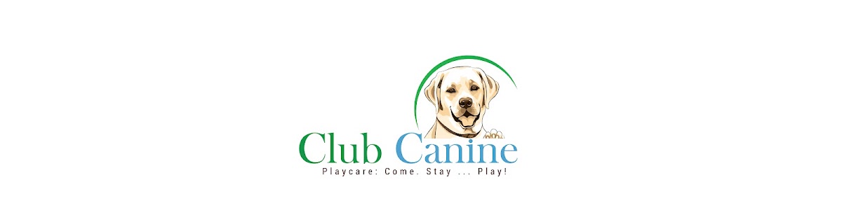 Club Canine