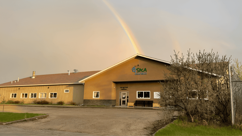Prince Albert SPCA Animal Care Centre