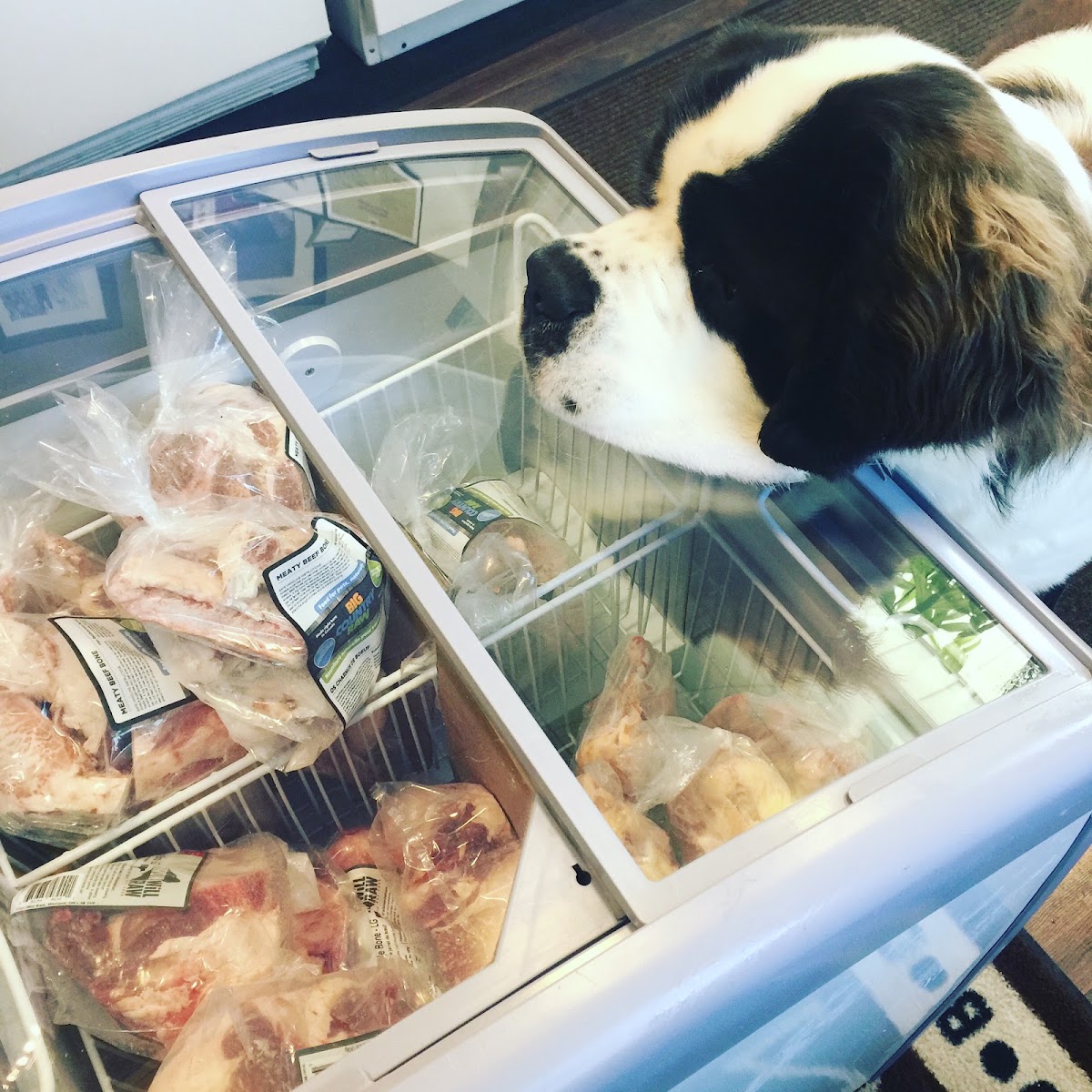 Dog-Gone Raw