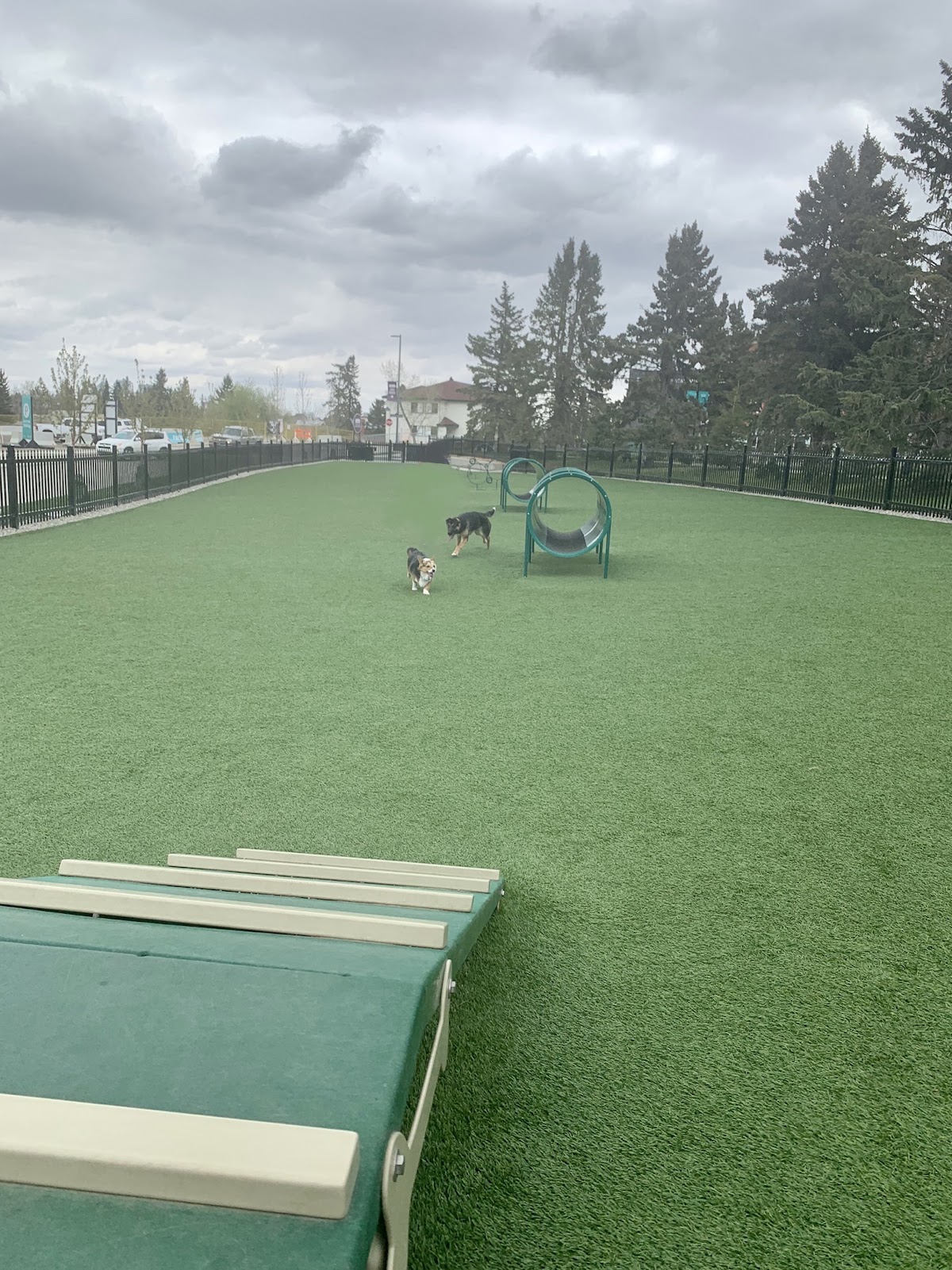 Currie Bark Park