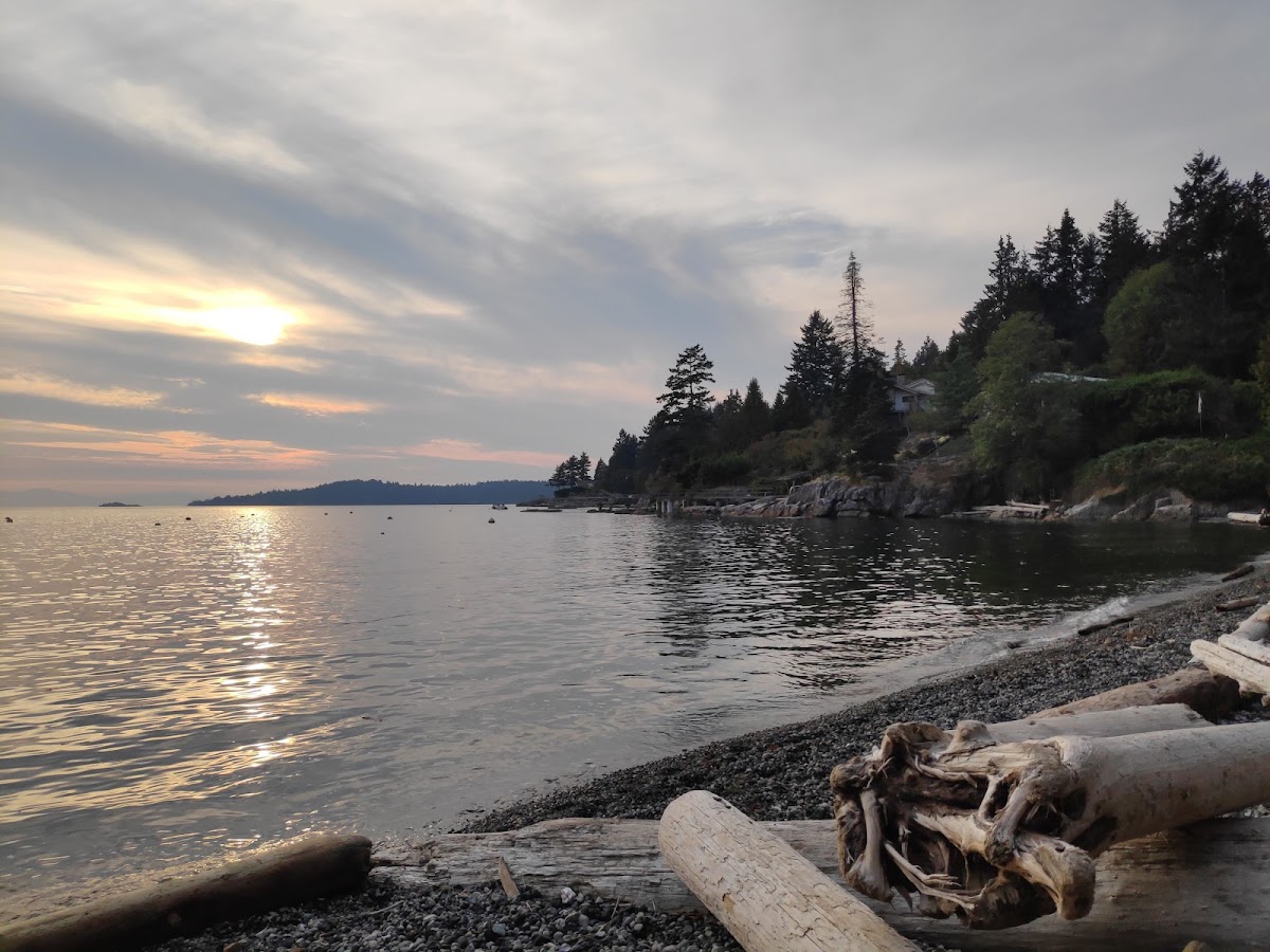 Bowen Bay Beach