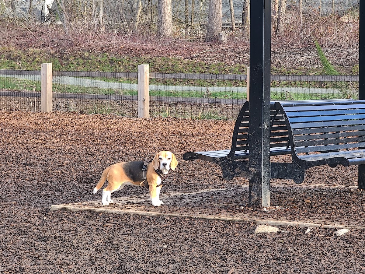 Brydon off-leash Dog Park