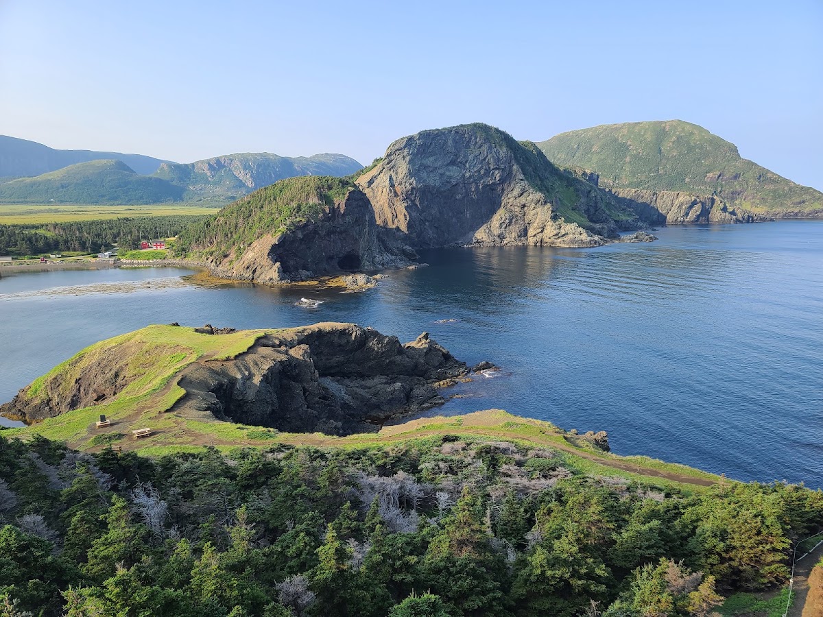 Bottle Cove