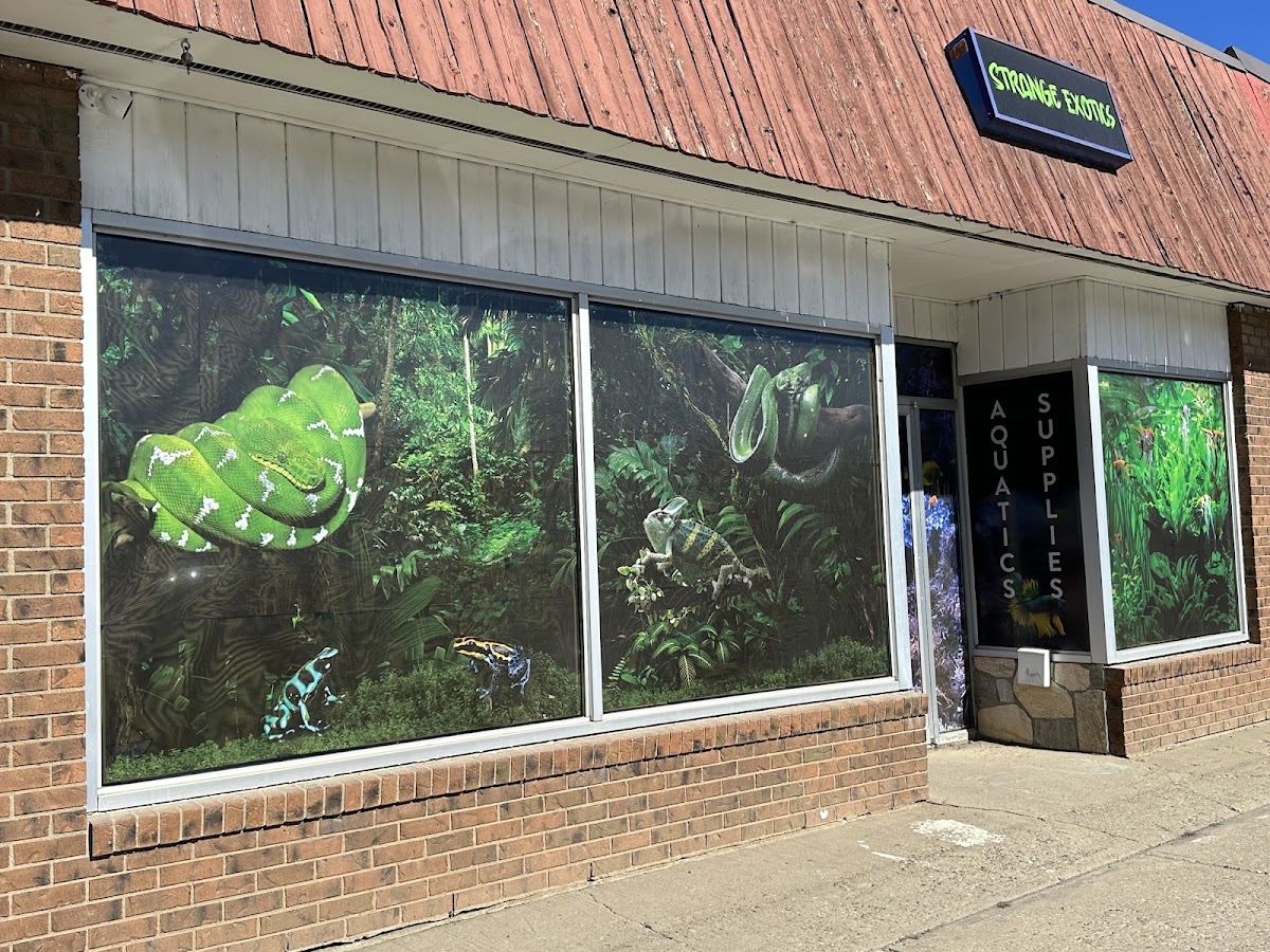 Strange Pets & Exotics Inc