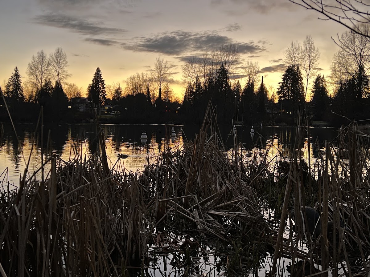 Bear Creek Off Leash Park
