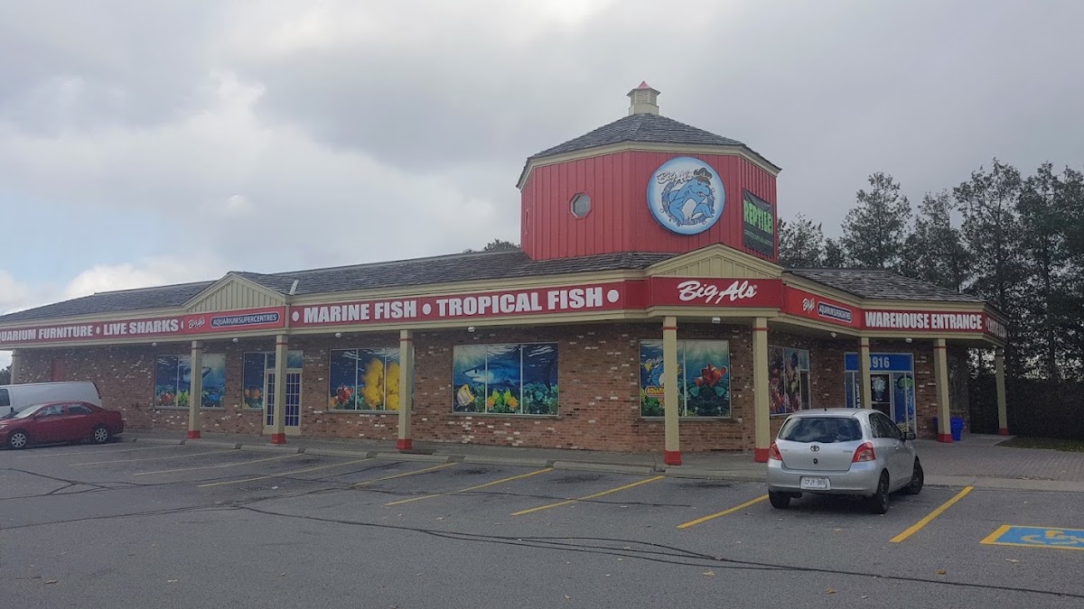 Big Al's Aquarium Supercentres - Whitby