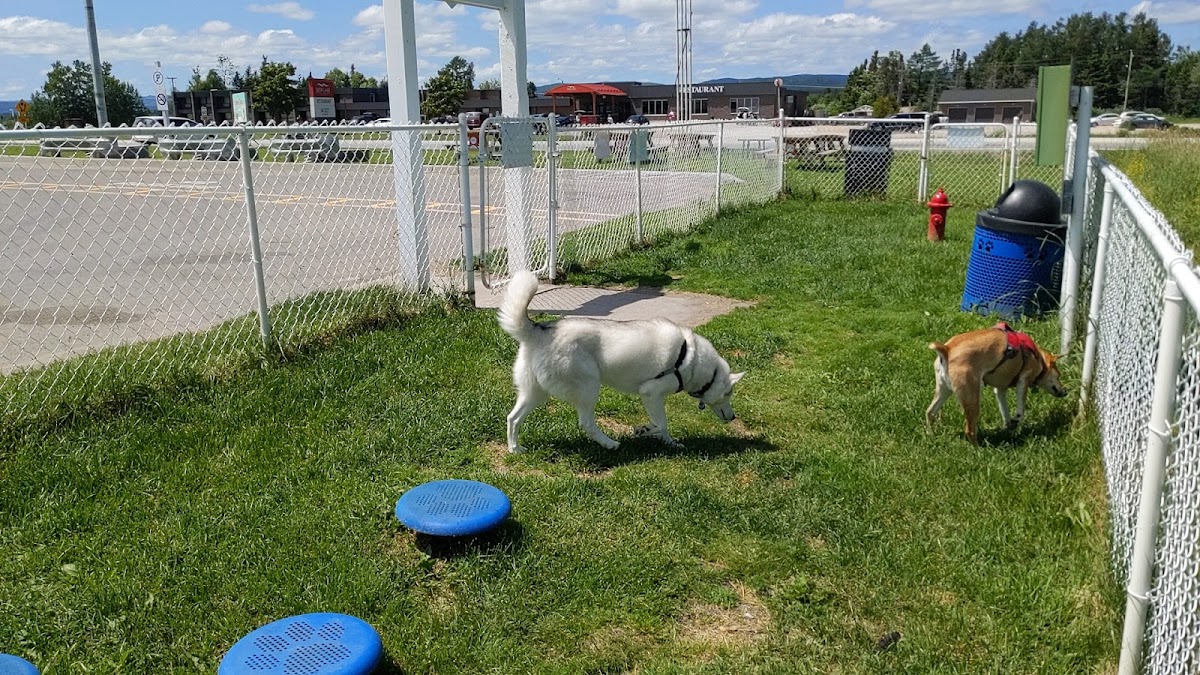 Deer Lake Bark park