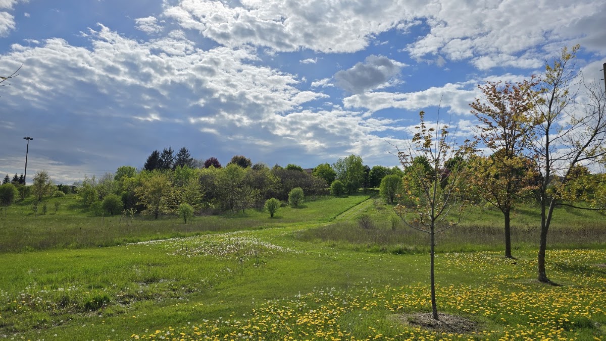 Bramalea Ltd Community Dog Park