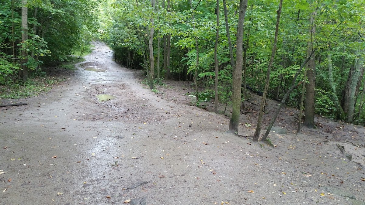 Clare Ford off-leash dog park