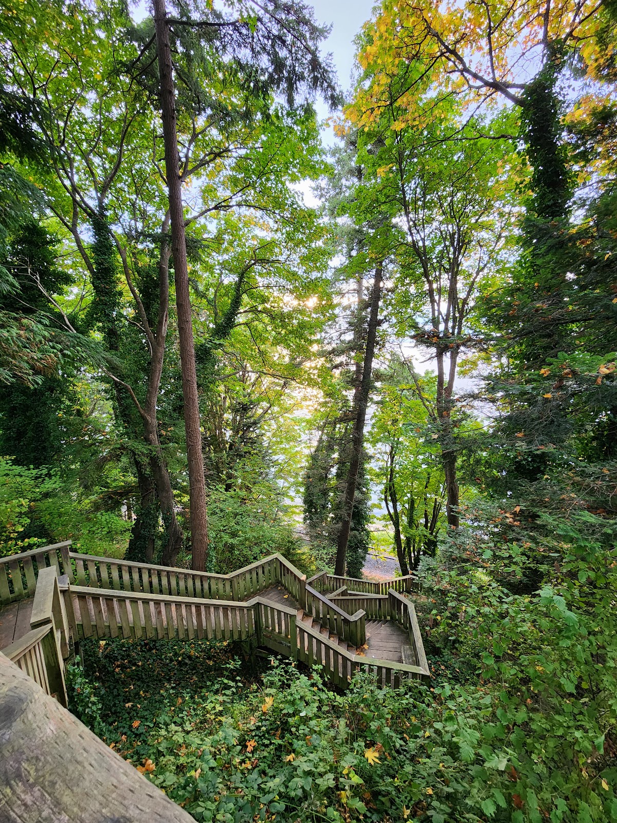 Christopherson Steps