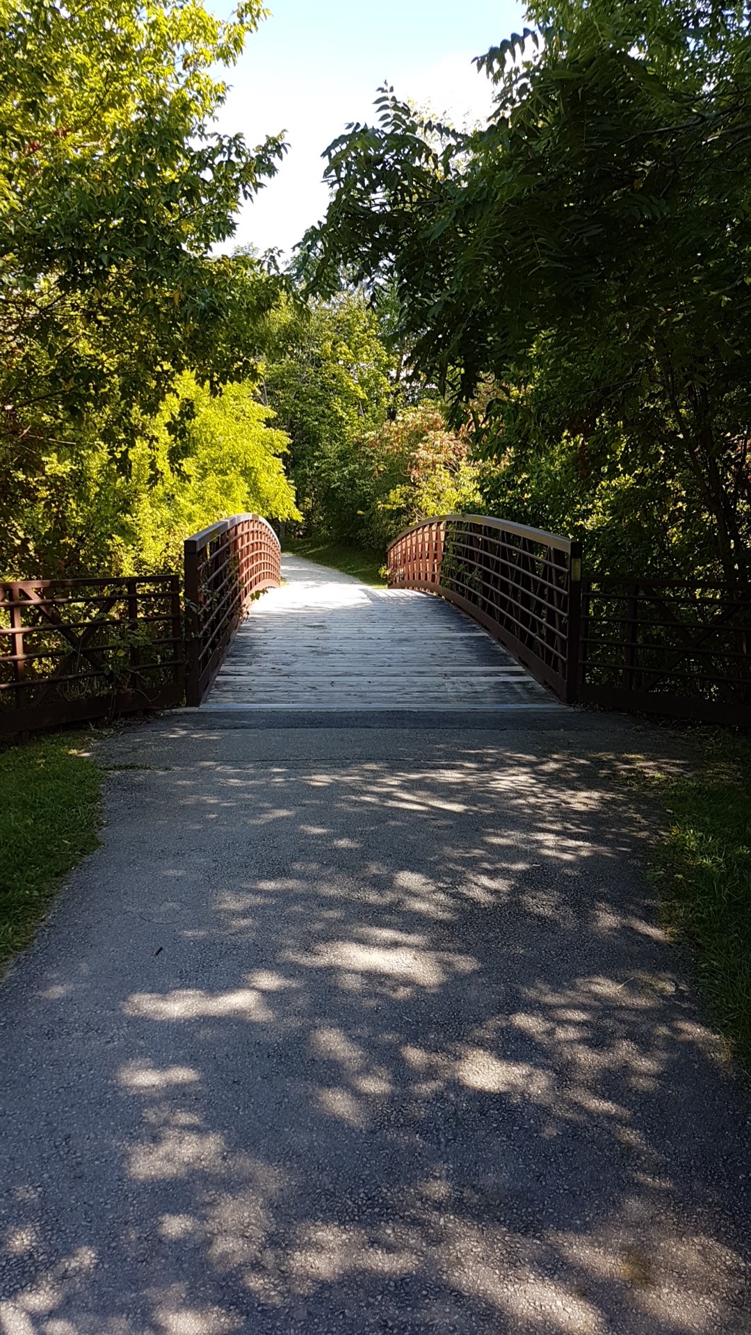 Conservation Drive Park