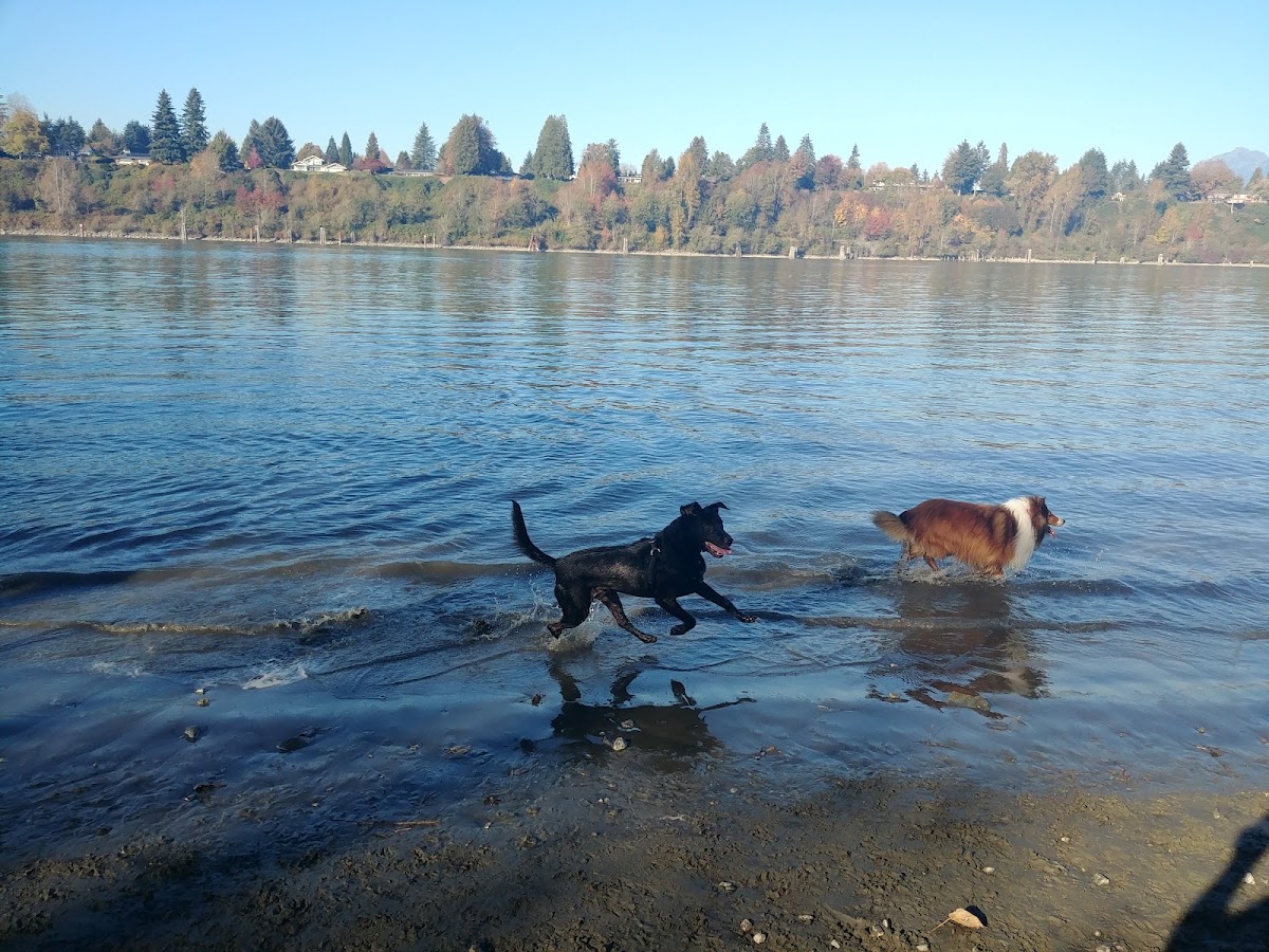 Derby Reach Regional Park - Dog Off-leash Area