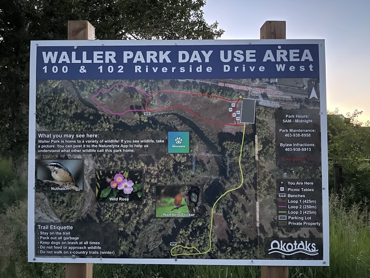 Waller Park Day Use Area