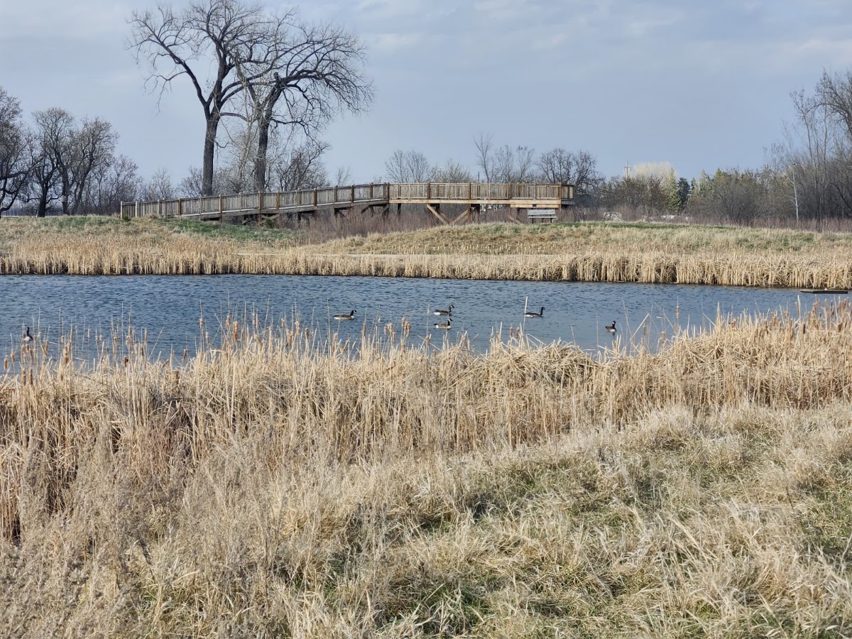Discovery Nature Sanctuary