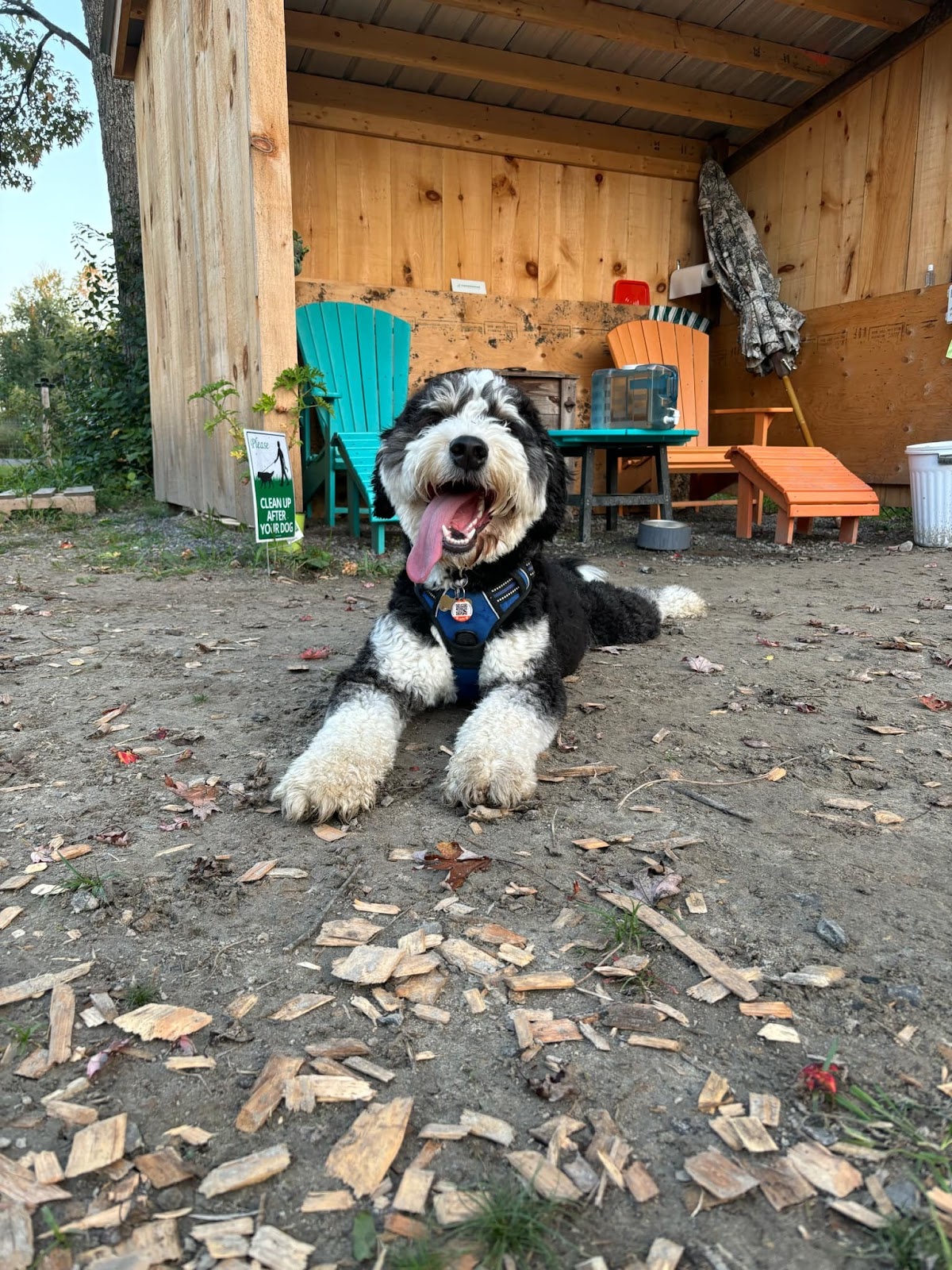 Capital Bark Park
