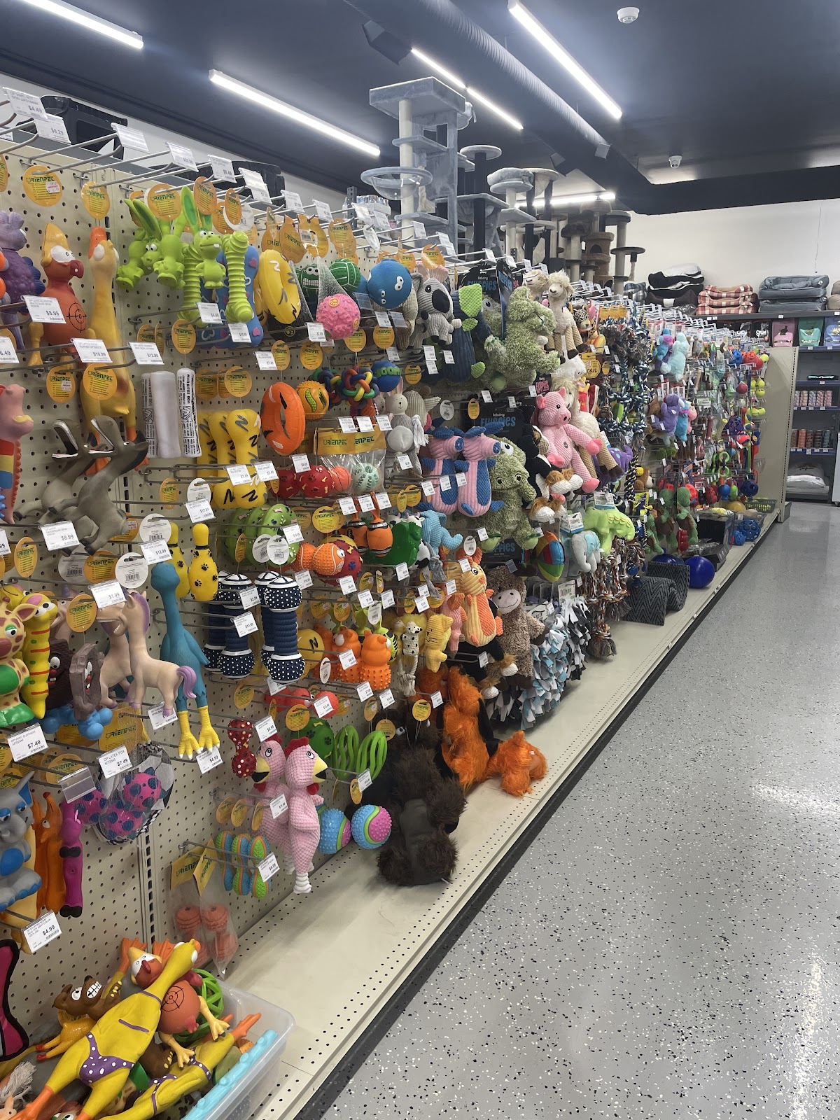 Best West Pet Foods