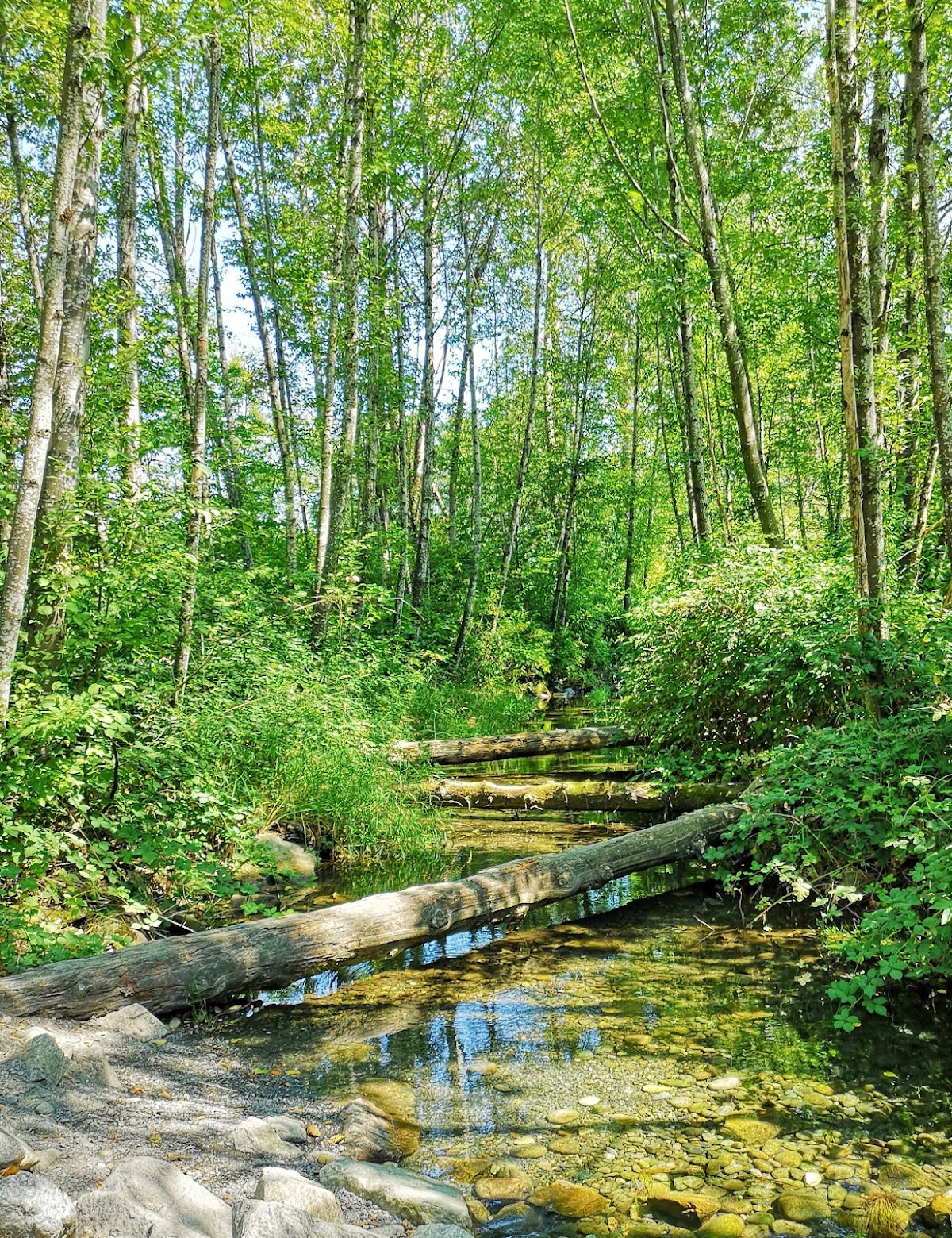 Browne Creek Wetlands