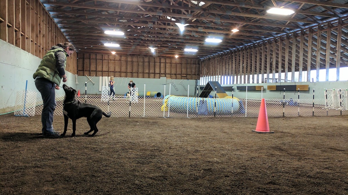 Avid Agility
