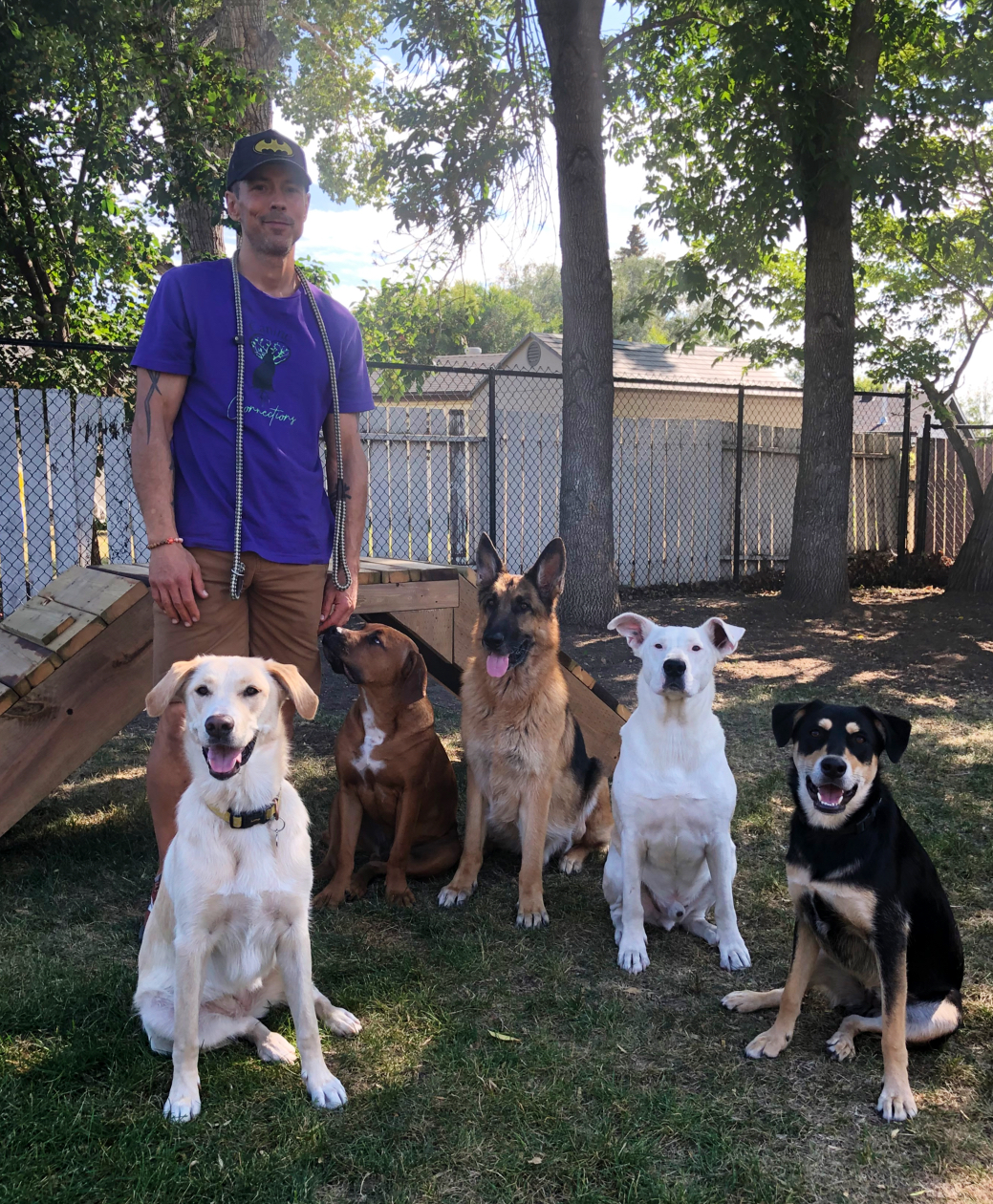 Canine Connections
