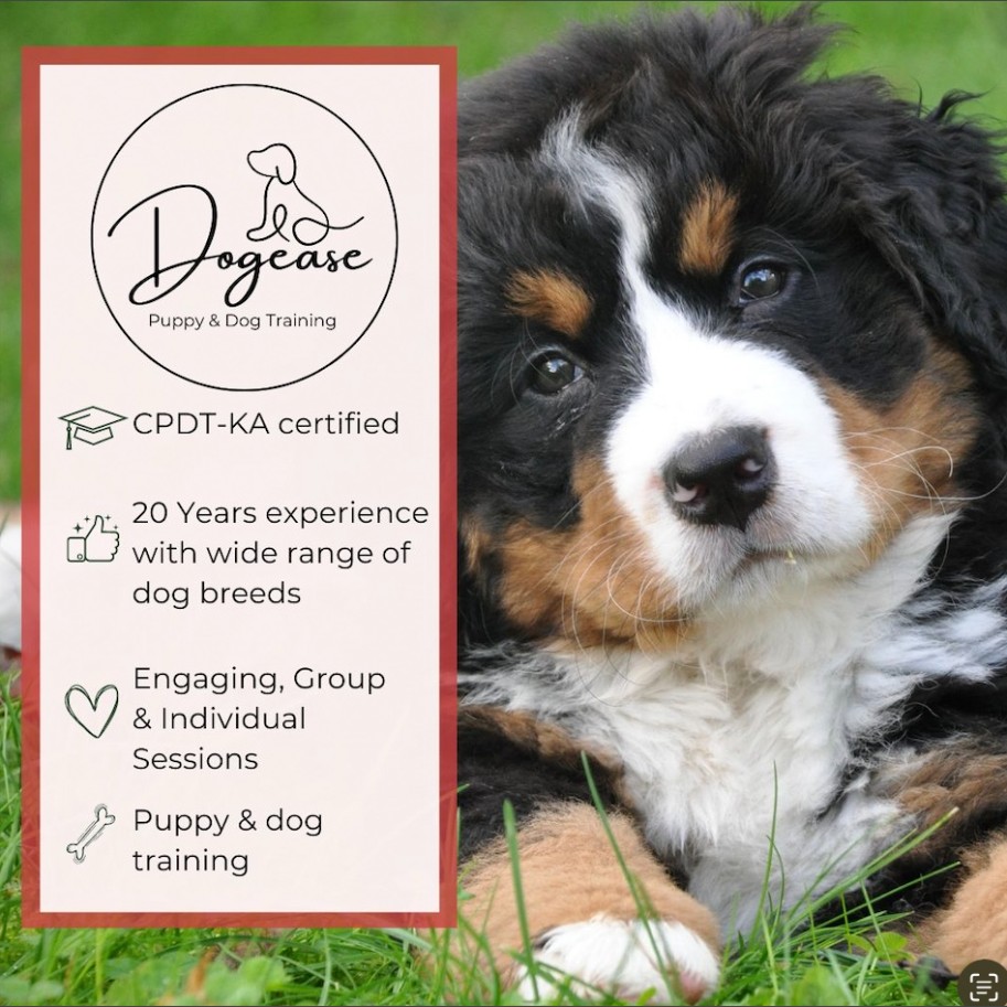 Dogease Puppy & Dog Training