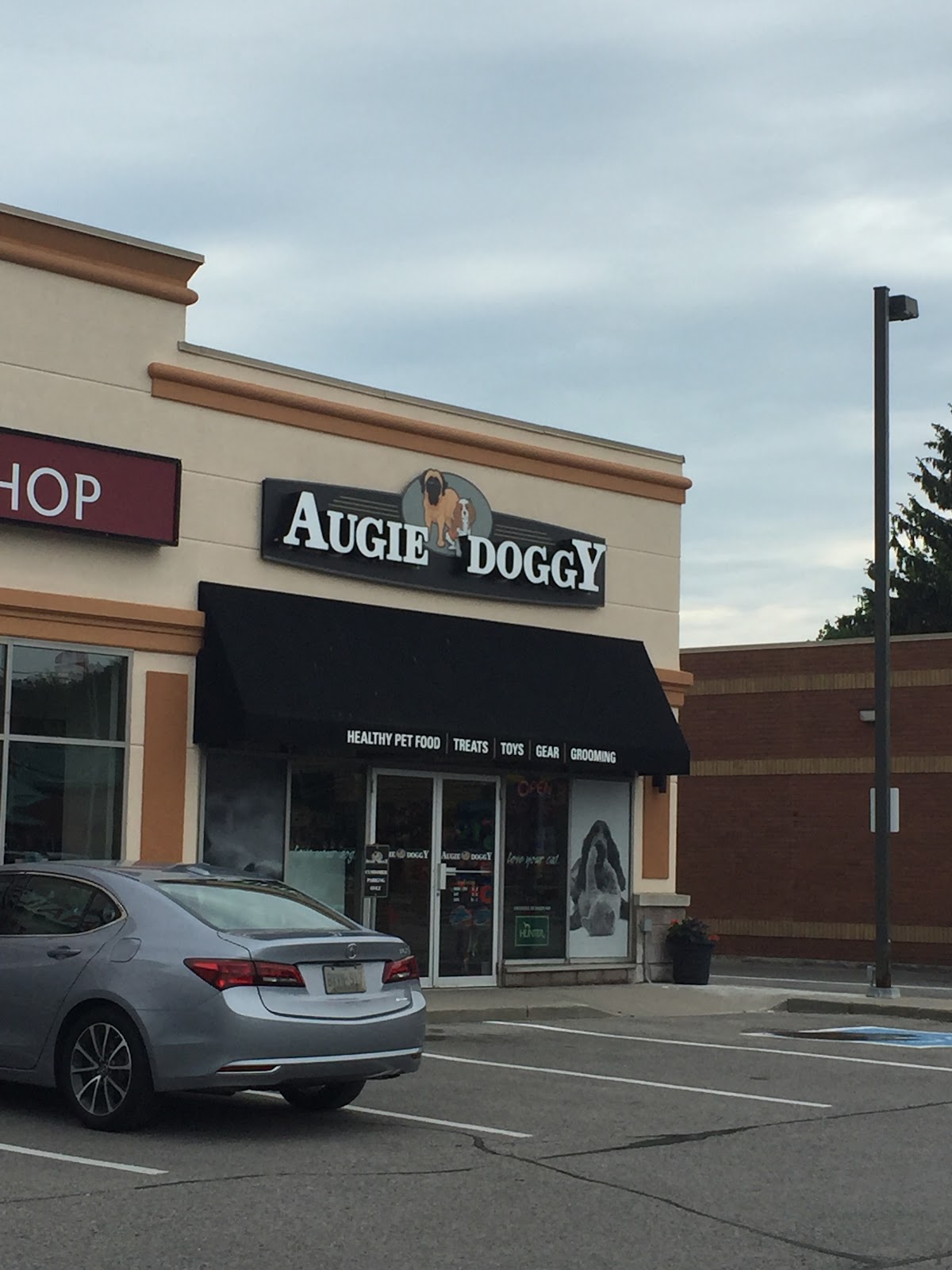 Augie Doggy