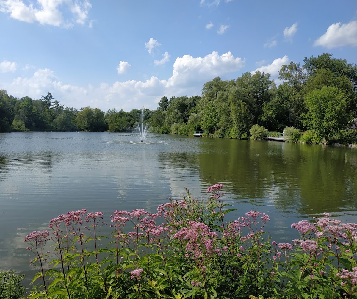 Mill Pond Park
