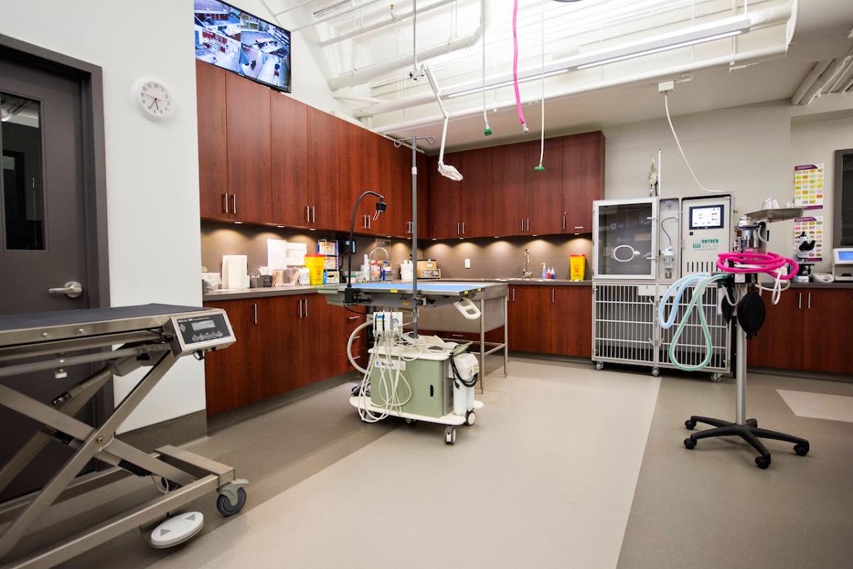 Burrard Animal Hospital + Emergency