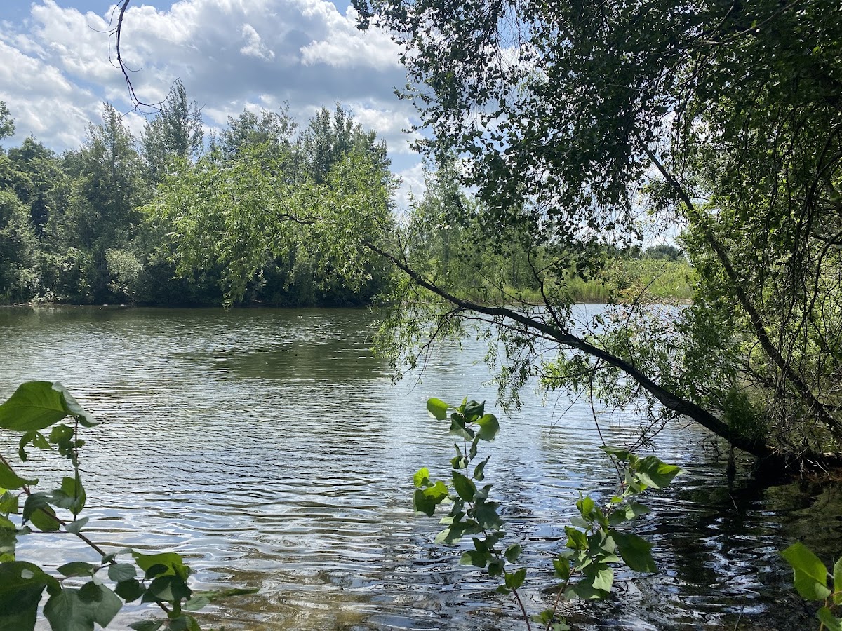 Parc naturel des Parulines