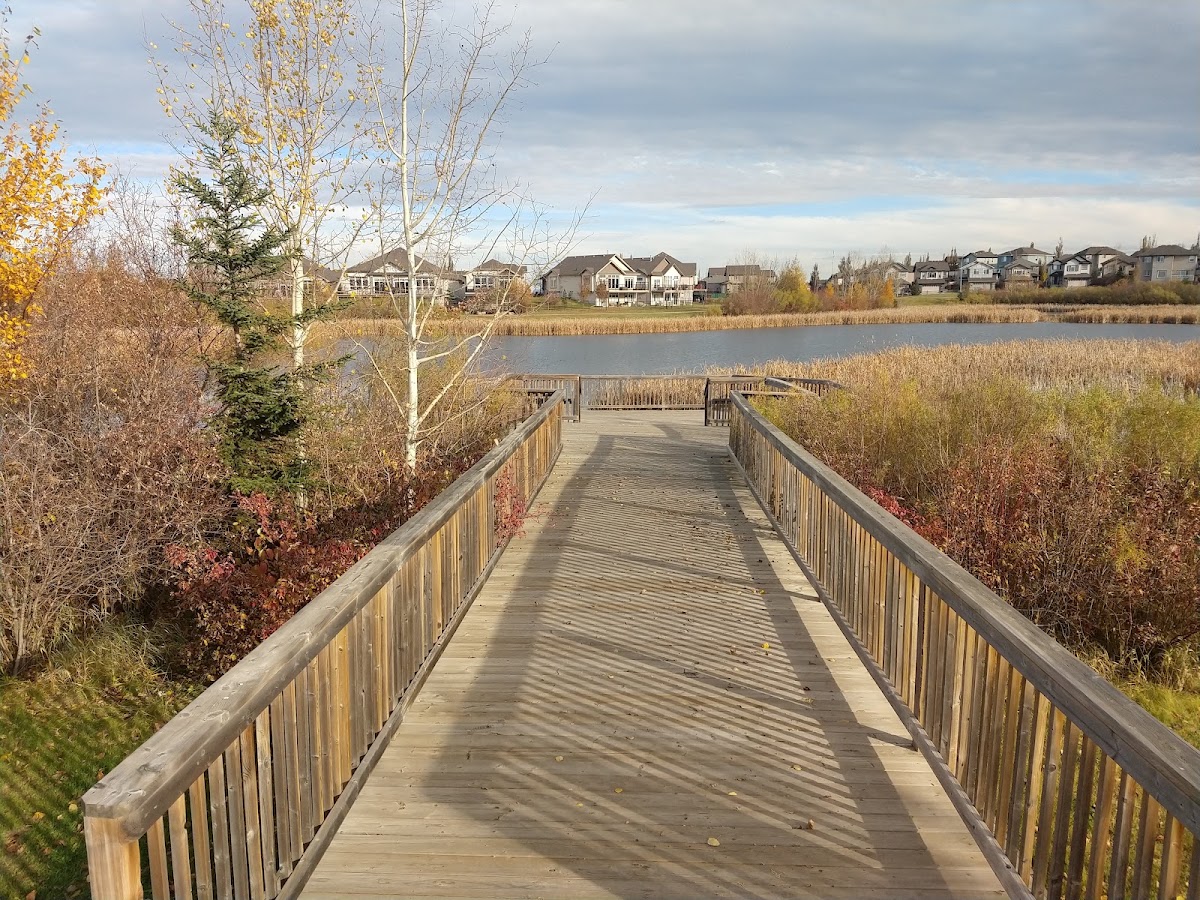Cascade Park