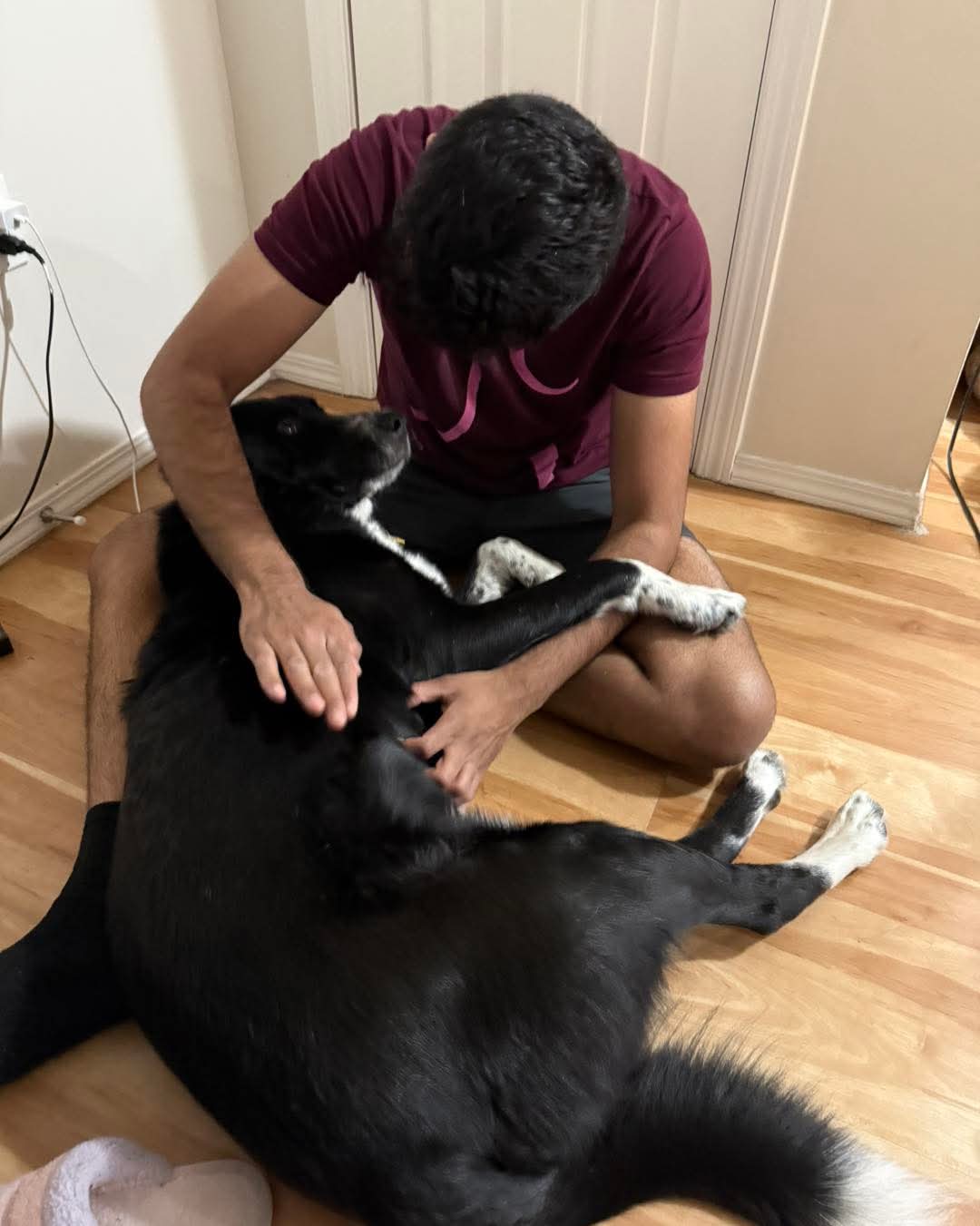 Bark Buddy