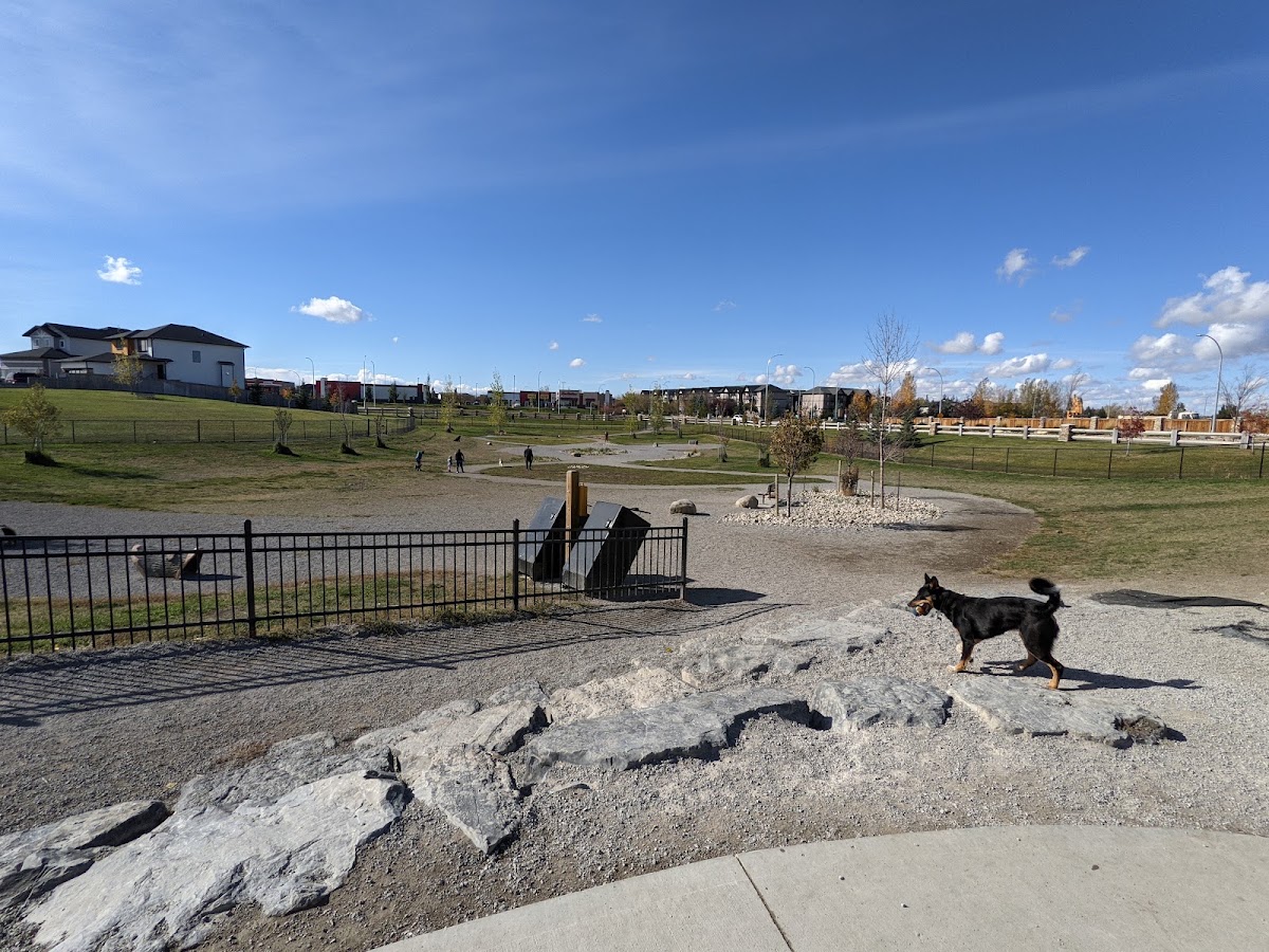 RiverStone Dog Park